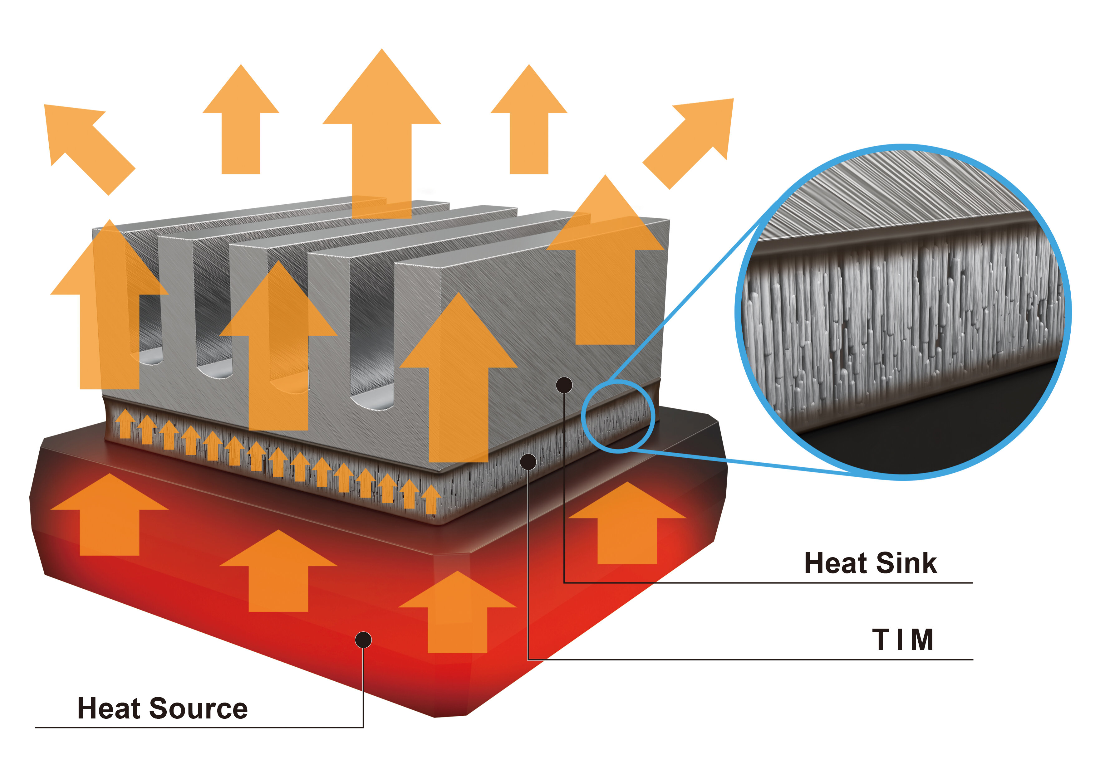 Thermal conductive sheet to dissipate heat generated by heat-generating parts